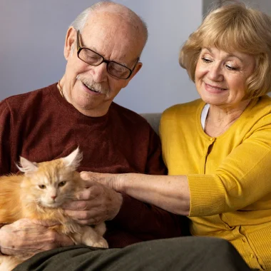 An elderly couple sits together on a couch, with a light brown cat in one person's lap and the other resting a comforting arm.